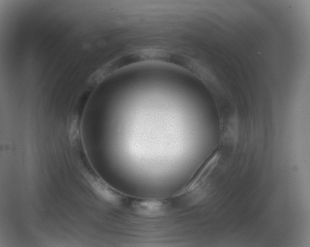 X0000083560478200702091129