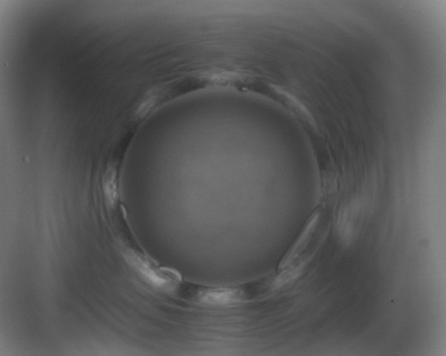 X0000083560479200702091129