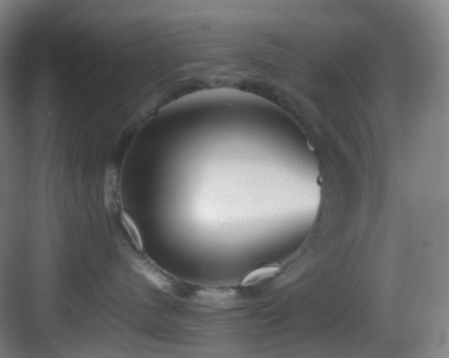 X0000083560480200702091129