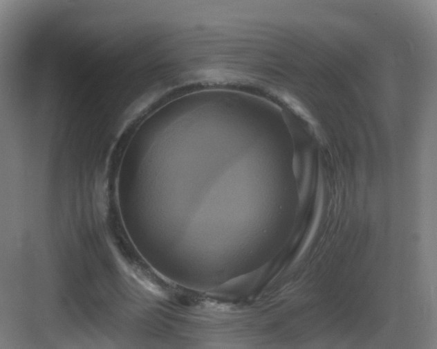X0000083560488200702091128