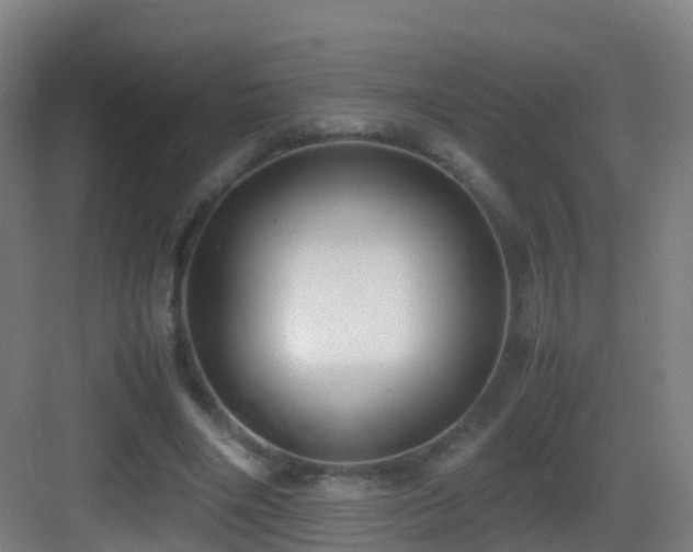 X0000083560490200702091128