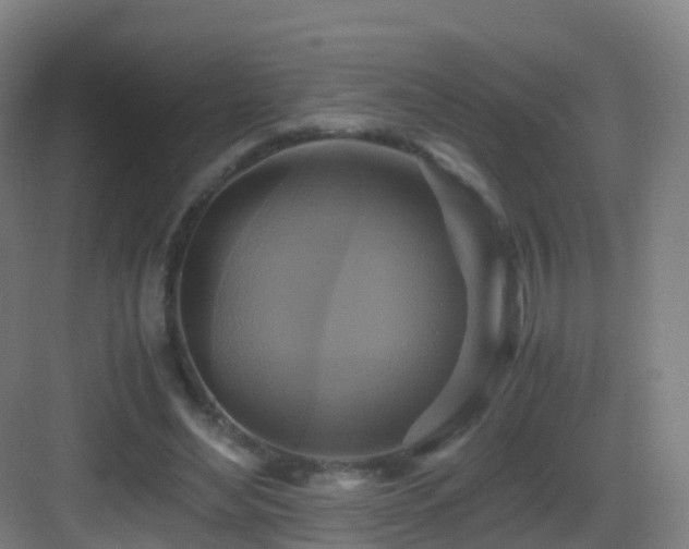 X0000083560492200702091128