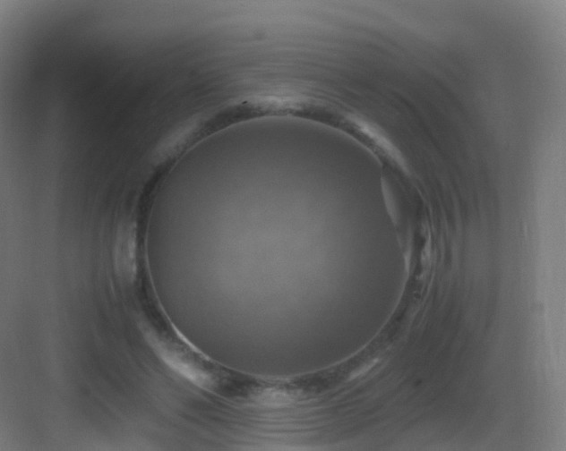 X0000083560494200702091128