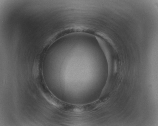 X0000083560496200702091128