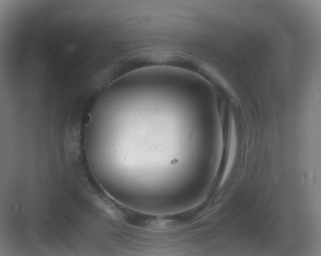 X0000083560497200702091128