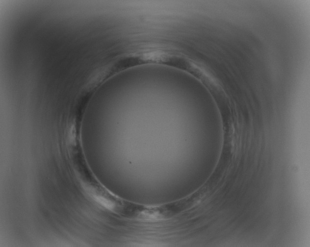 X0000083560502200702091128