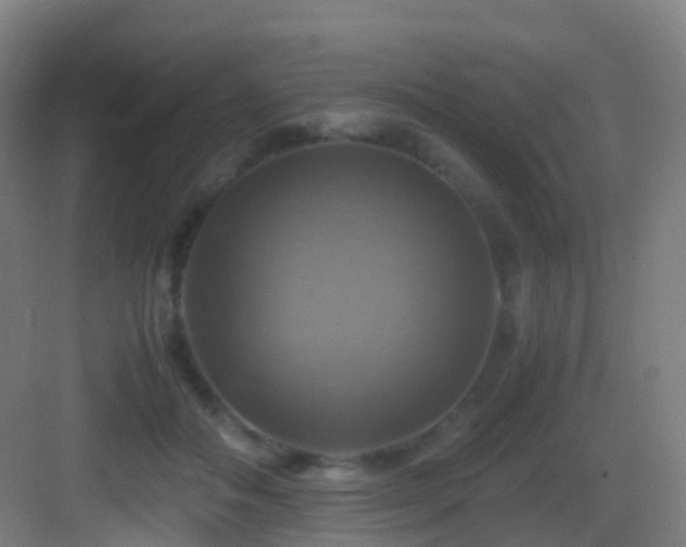 X0000083560506200702091128