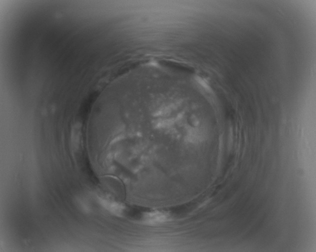 X0000083560511200702091128