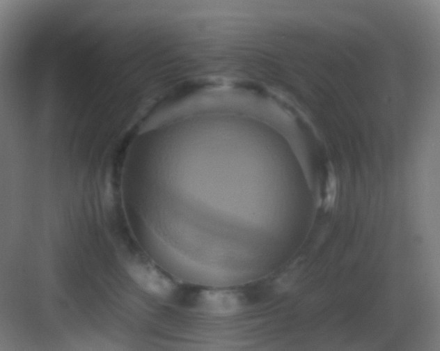 X0000083560520200702091128