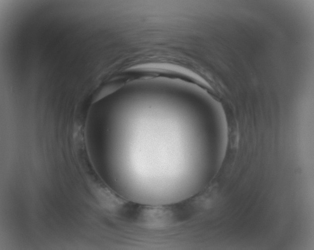 X0000083560521200702091128
