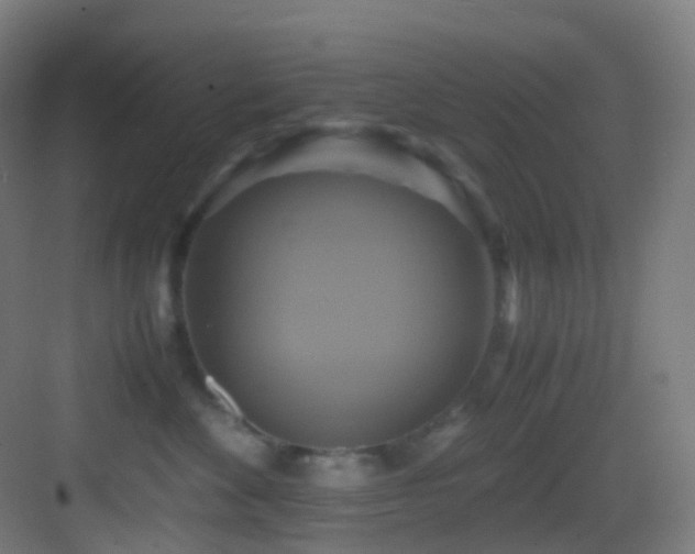X0000083560524200702091128
