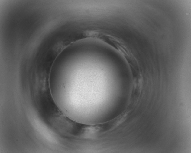 X0000083560525200702091128