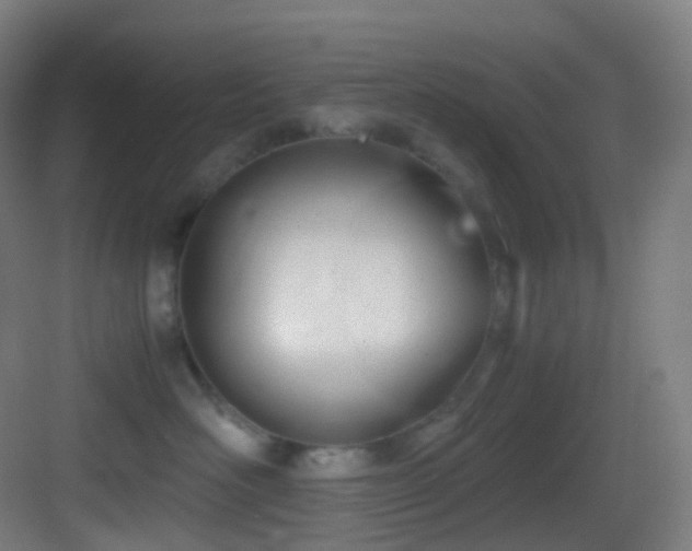 X0000083560526200702091128