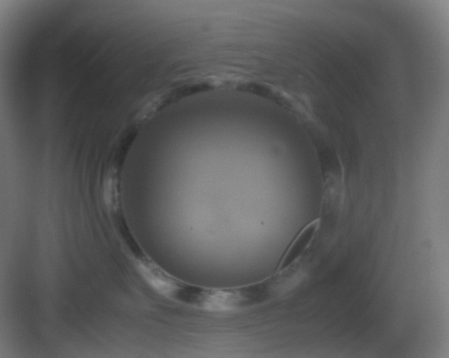 X0000083560527200702091128