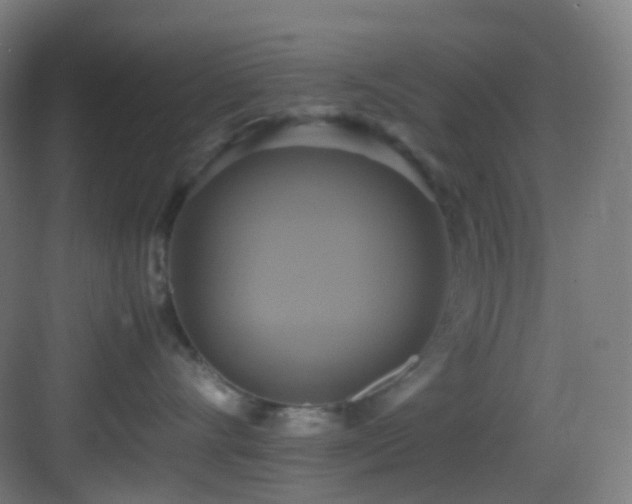 X0000083560528200702091128