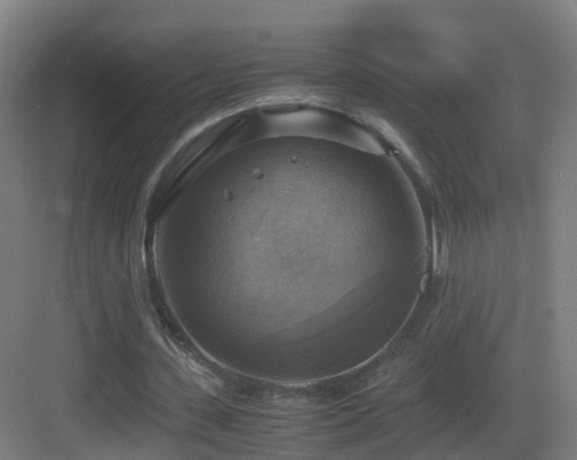 X0000083560531200702091127