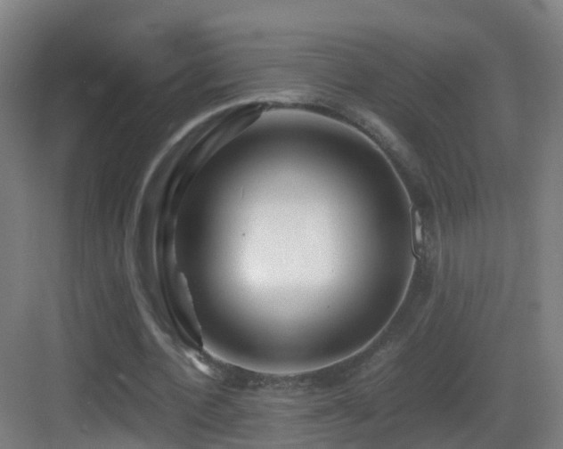X0000083560532200702091127