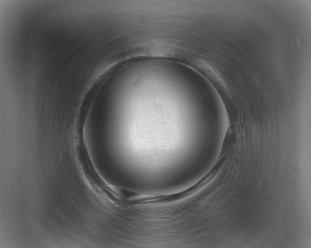 X0000083560536200702091127