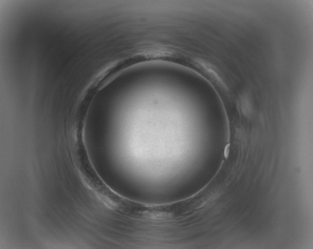 X0000083560539200702091127