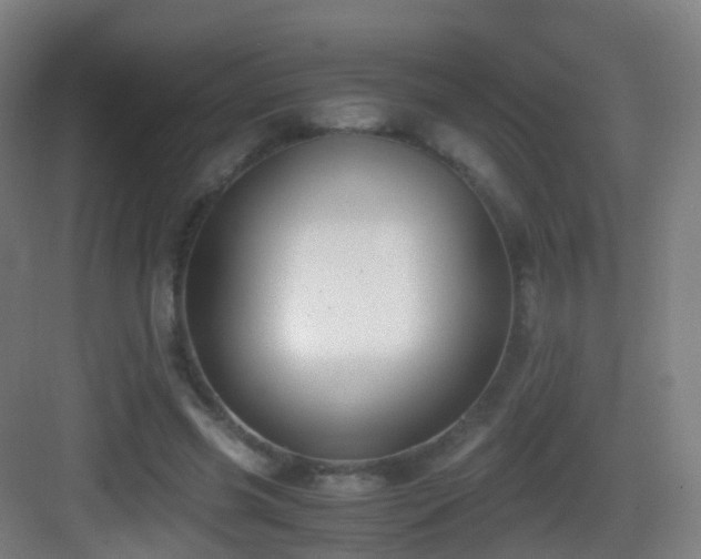 X0000083560541200702091127