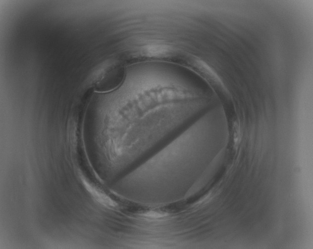 X0000083560542200702091127