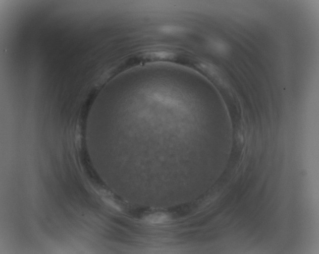 X0000083560551200702091127