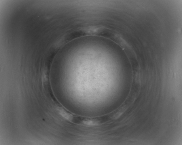 X0000083560561200702091128