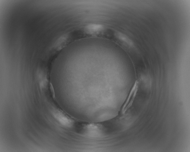 X0000083560566200702091128
