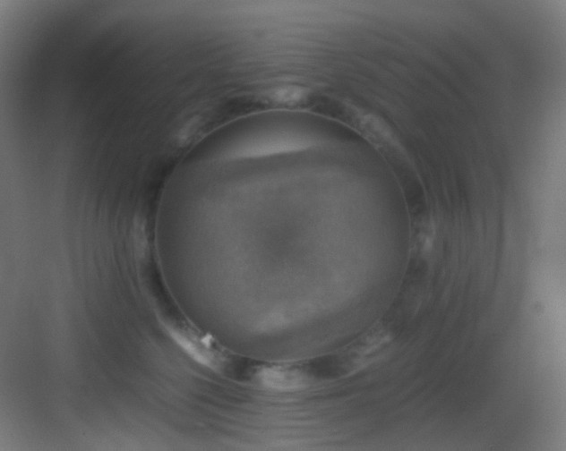 X0000083560568200702091128