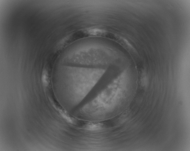 X0000083560569200702091128