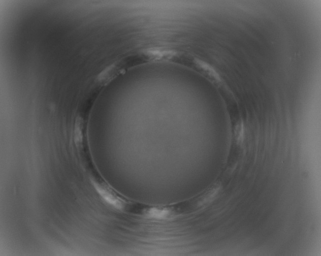 X0000083560570200702091128