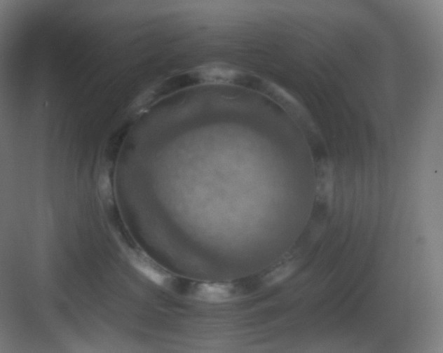 X0000083560573200702091128