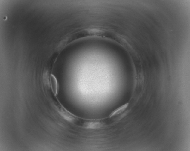 X0000083560575200702091128