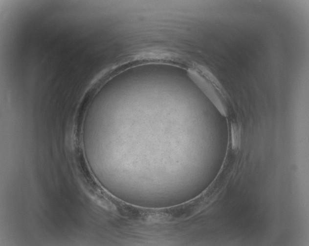 X0000083560579200702091127