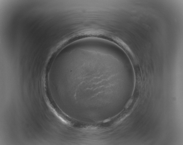 X0000083560581200702091127