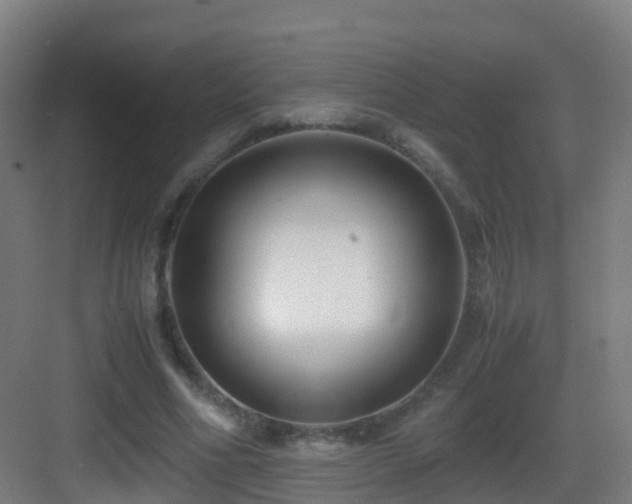 X0000083560586200702091127