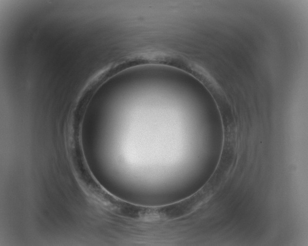 X0000083560587200702091127