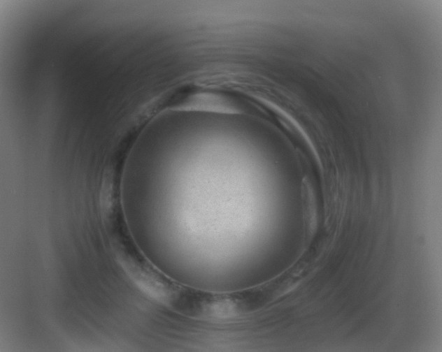 X0000083560600200702091127