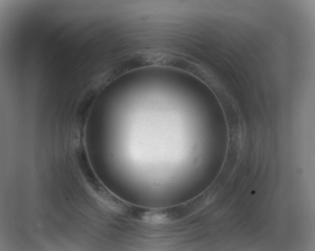 X0000083560602200702091127