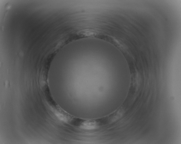 X0000083560606200702091126