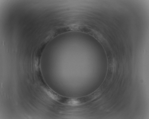 X0000083560610200702091126