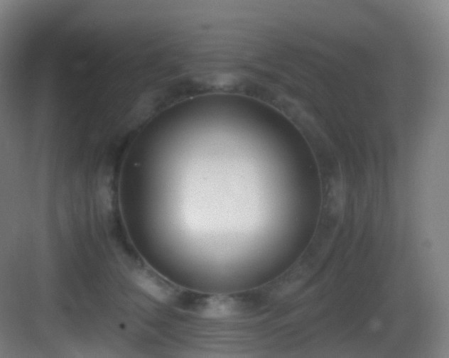 X0000083560612200702091126