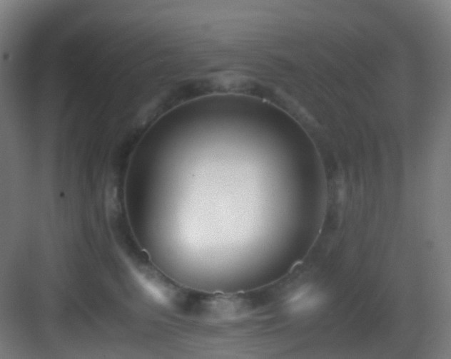 X0000083560615200702091126
