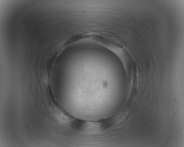 X0000083560617200702091126