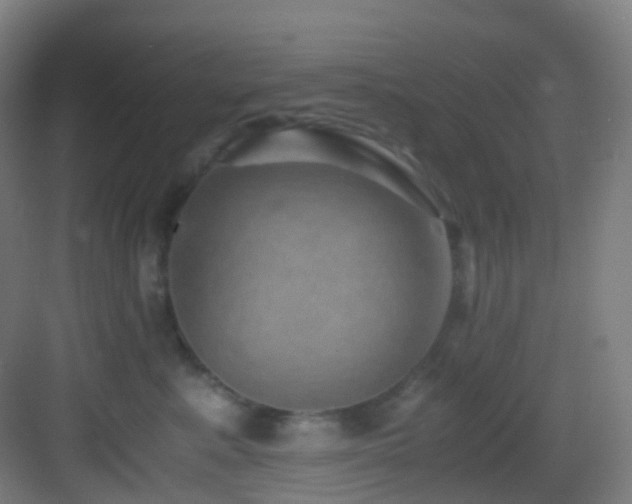 X0000083560619200702091126