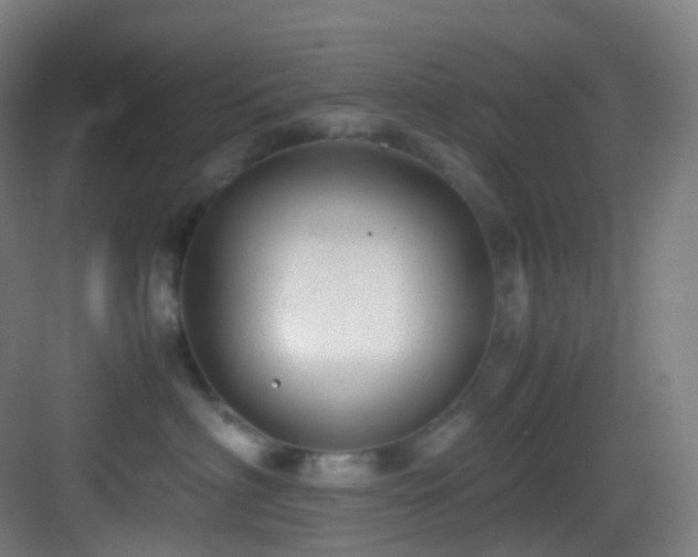 X0000083560622200702091126