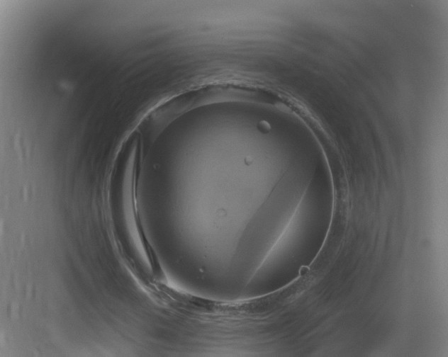 X0000083560626200702091125