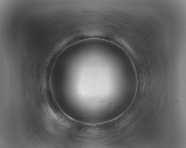 X0000083560631200702091125