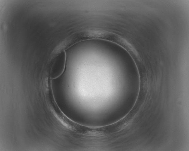 X0000083560633200702091126