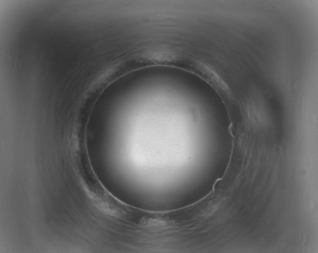 X0000083560635200702091126